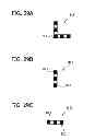 Fig. 30 - Apparatus and method for processing images
