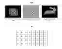 Fig. 08 - Method and apparatus for fast generation of hologram