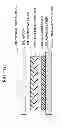Fig. 14 - Optical display device having polarizing film