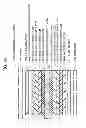 Fig. 19 - Optical display device having polarizing film