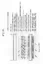 Fig. 26 - Optical display device having polarizing film