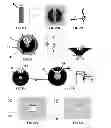 Fig. 10 - Electrical components and circuits including said components