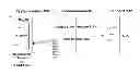 Fig. 01 - Communication method and apparatus