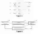 Fig. 07 - Measurement configuration method of multi-carrier system and equipment thereof