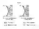 Fig. 05 - Generating downlink frame and searching for cell