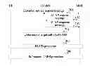 Fig. 01 - Method, apparatus, and system for selecting public land mobile network