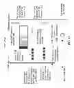 Fig. 09 - Methods and apparatuses for maintaining synchronization between a radio equipment controller and an item of radio equipment