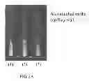 Fig. 04 - SYSTEM AND METHOD OF DETECTING SUBLIMATION POINT
