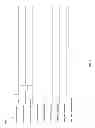 Fig. 09 - Dual control of a dynamically reconfigurable pipelined pre-processor