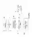Fig. 07 - Visual voice mail delivery mechanisms