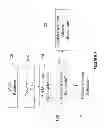 Fig. 09 - Visual voice mail delivery mechanisms