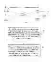 Fig. 02 - Data synchronization method and system, and optical network unit