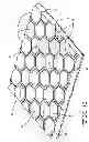 Fig. 11 - Base for turf system