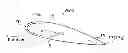 Fig. 01 - Blade and laminated protective sheet for the blade