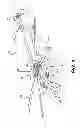 Fig. 02 - Erosion resistant helicopter blade