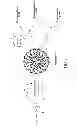 Fig. 02 - Nanoparticles and nanoparticle compositions