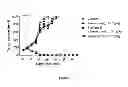 Fig. 04 - Protein-polymer-drug conjugates