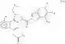 Fig. 124 - Protein-polymer-drug conjugates