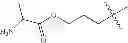 Fig. 147 - Protein-polymer-drug conjugates