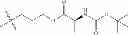 Fig. 162 - Protein-polymer-drug conjugates