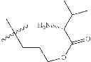 Fig. 176 - Protein-polymer-drug conjugates