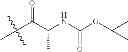 Fig. 178 - Protein-polymer-drug conjugates