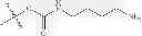 Fig. 205 - Protein-polymer-drug conjugates