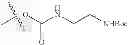 Fig. 207 - Protein-polymer-drug conjugates
