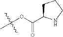 Fig. 211 - Protein-polymer-drug conjugates