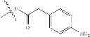 Fig. 216 - Protein-polymer-drug conjugates