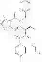 Fig. 231 - Protein-polymer-drug conjugates