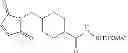 Fig. 244 - Protein-polymer-drug conjugates