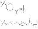 Fig. 265 - Protein-polymer-drug conjugates
