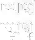 Fig. 271 - Protein-polymer-drug conjugates