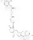 Fig. 296 - Protein-polymer-drug conjugates