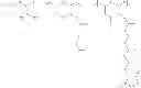 Fig. 303 - Protein-polymer-drug conjugates
