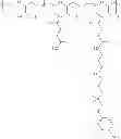 Fig. 313 - Protein-polymer-drug conjugates