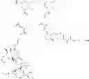 Fig. 418 - Protein-polymer-drug conjugates