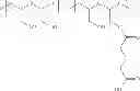 Fig. 429 - Protein-polymer-drug conjugates