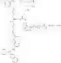 Fig. 443 - Protein-polymer-drug conjugates