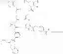 Fig. 447 - Protein-polymer-drug conjugates