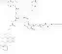 Fig. 451 - Protein-polymer-drug conjugates