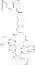 Fig. 488 - Protein-polymer-drug conjugates