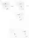 Fig. 508 - Protein-polymer-drug conjugates