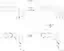 Fig. 511 - Protein-polymer-drug conjugates