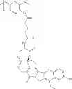 Fig. 534 - Protein-polymer-drug conjugates