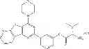 Fig. 558 - Protein-polymer-drug conjugates