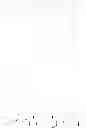 Fig. 565 - Protein-polymer-drug conjugates
