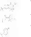 Fig. 59 - Protein-polymer-drug conjugates