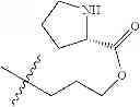 Fig. 634 - Protein-polymer-drug conjugates